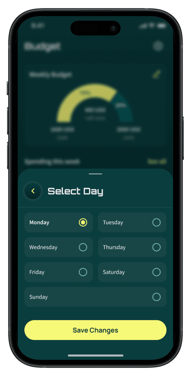 SAHARAN budget management screen